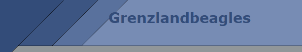Grenzlandbeagles

